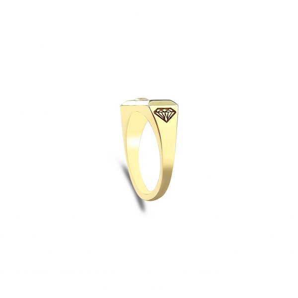 Yellow gold signet ring with diamond diamond gold ring By Gilat Artzi Jewelry 6